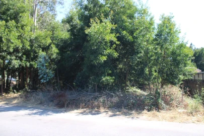 Terreno para Venda em Avanca