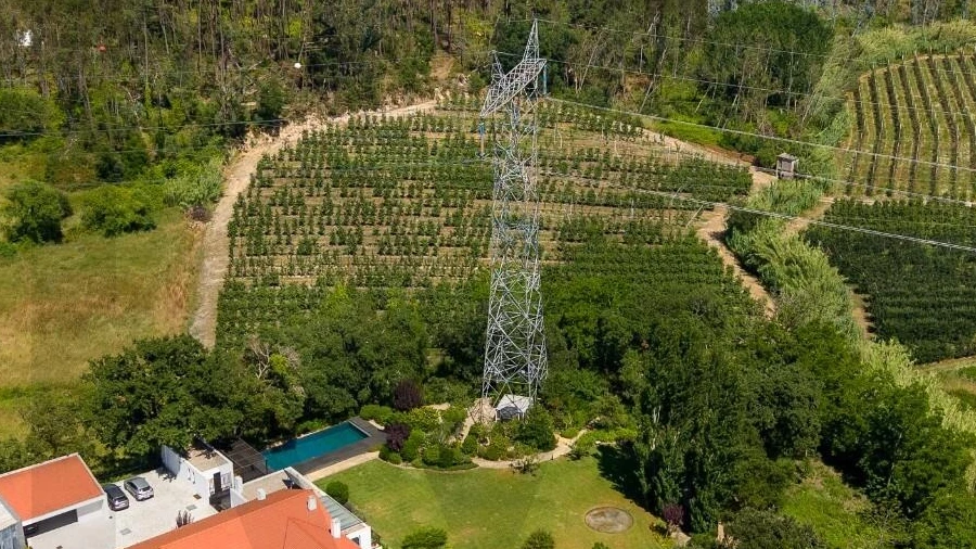 Moradia T4 para Venda em Maceira