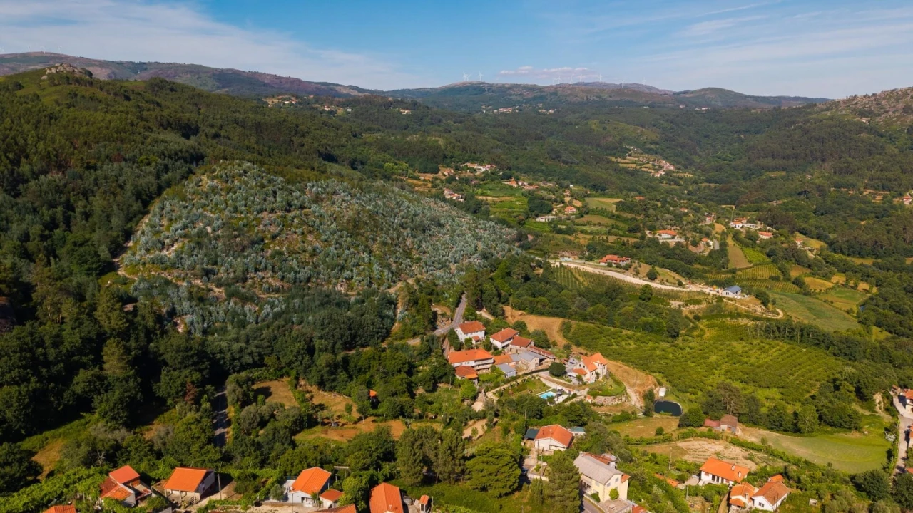 Terreno para Venda em Rossas Foto 19