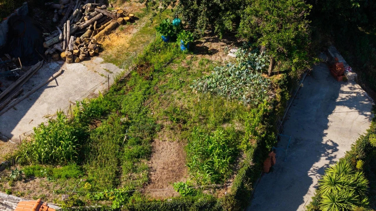Terreno para Venda em Rossas Foto 14
