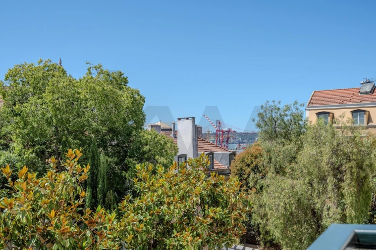 Apartamento T4 para Venda em Estrela Foto 28