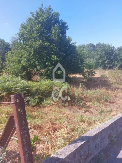 Terreno para Venda em Boa Aldeia, Farminhão e Torredeita