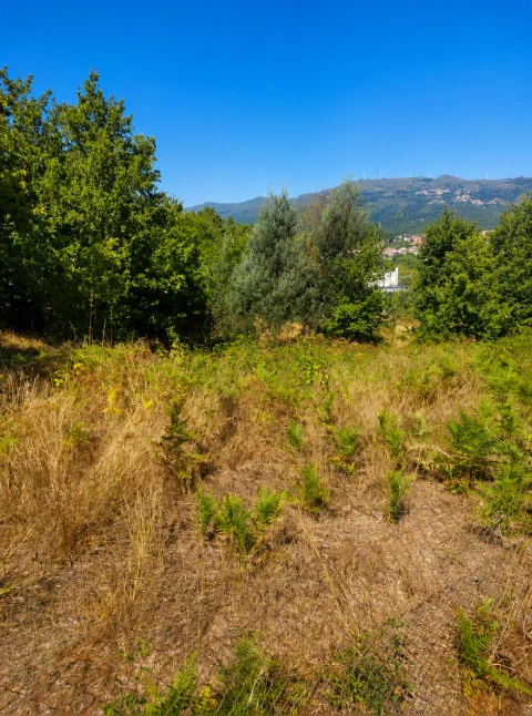 Terreno para Venda em Boa Aldeia, Farminhão e Torredeita