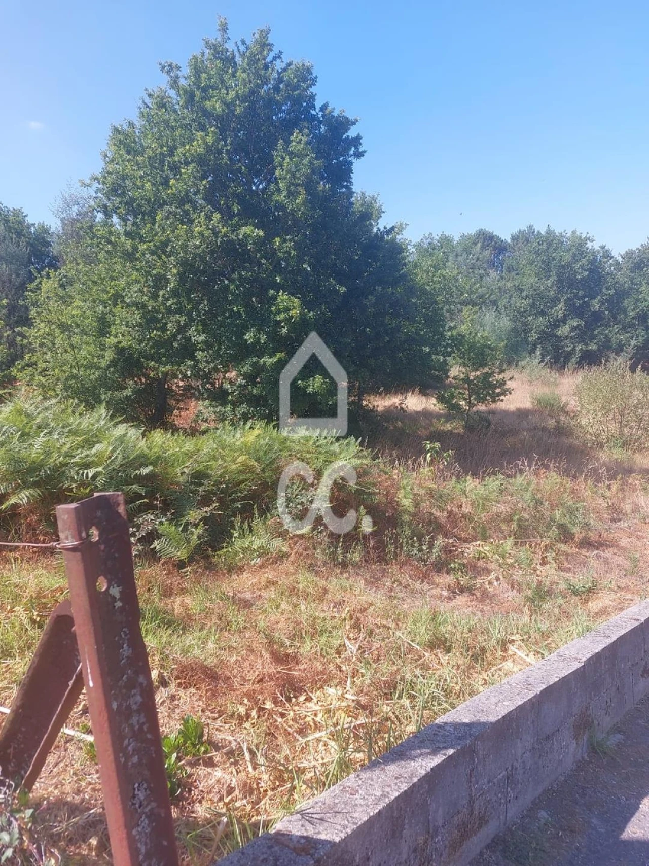 Terreno para Venda em Boa Aldeia, Farminhão e Torredeita Foto 3