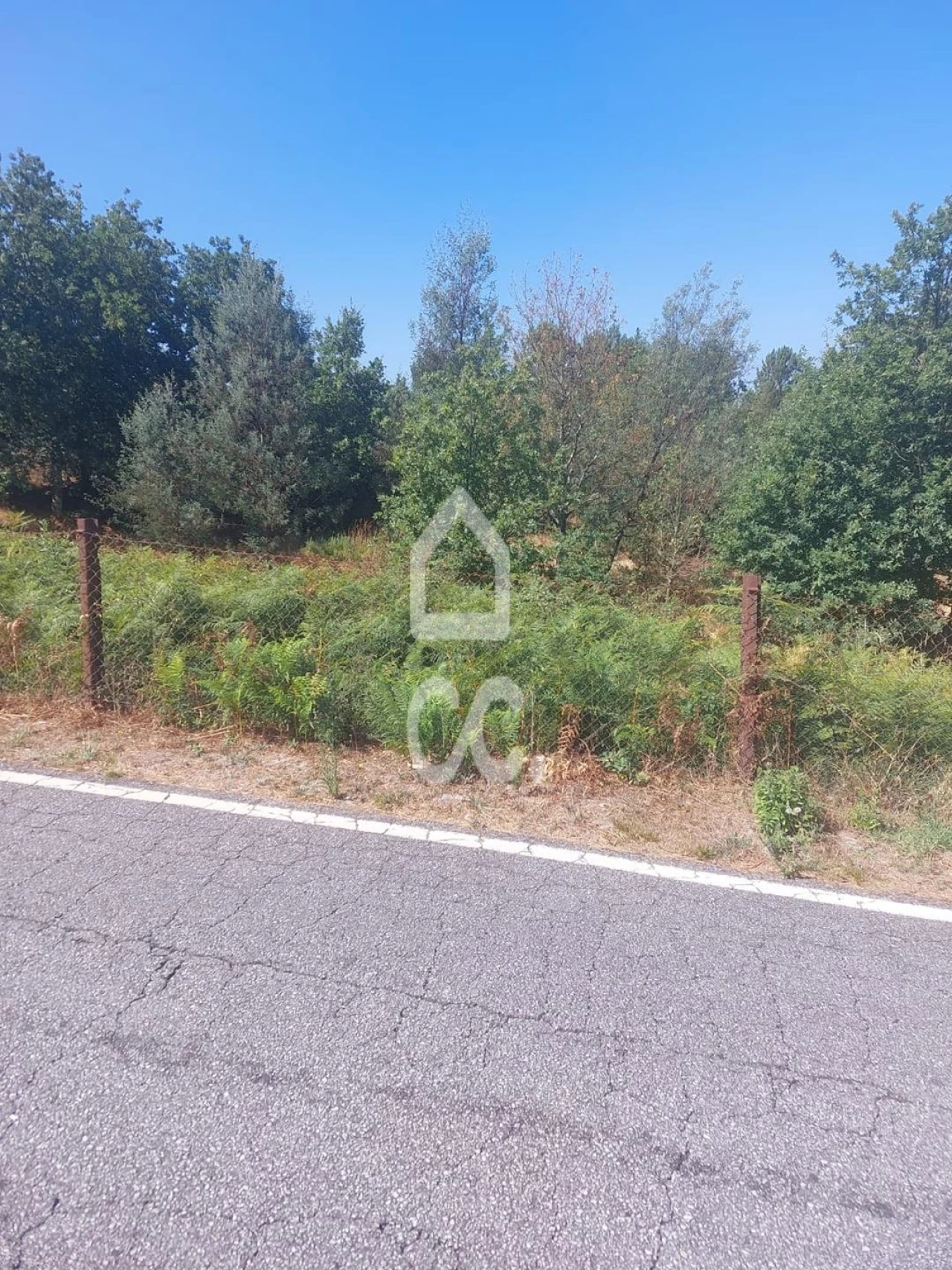 Terreno para Venda em Boa Aldeia, Farminhão e Torredeita Foto 3