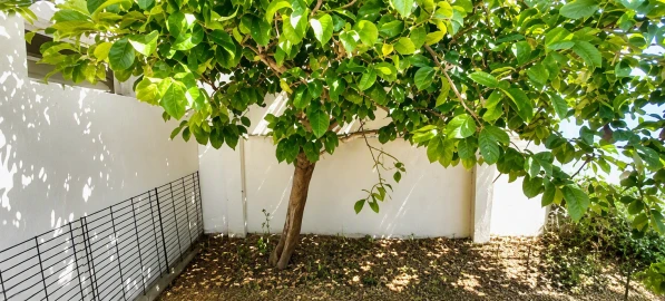 Moradia T2 para Venda em Beringel