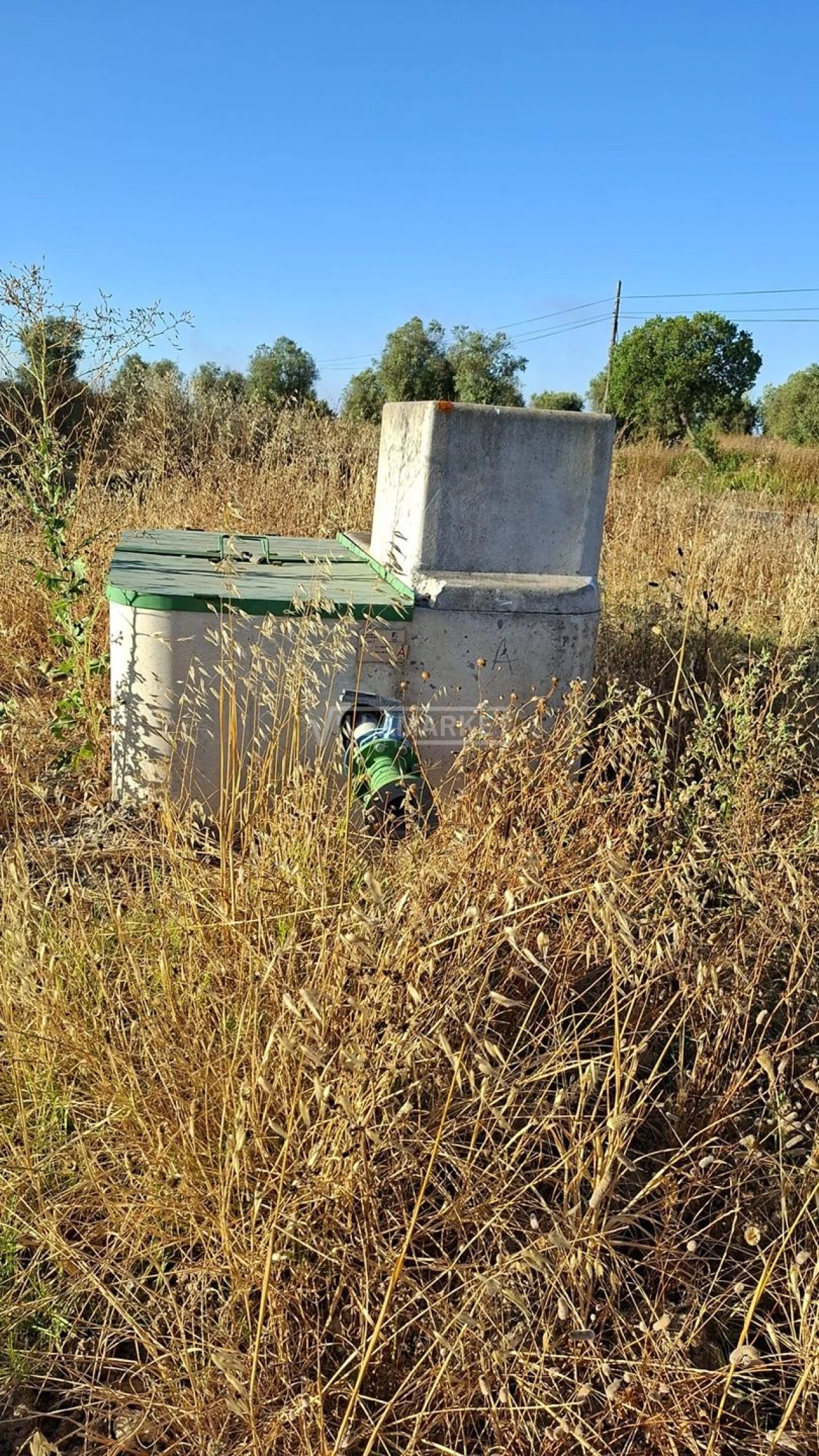 Terreno para Venda em Ferreira do Alentejo e Canhestros Foto 3