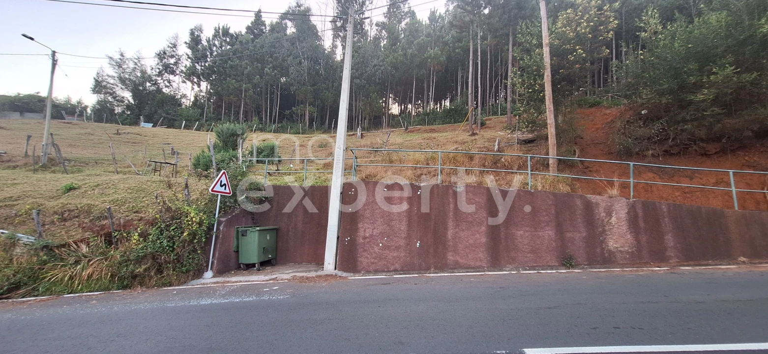 Terreno para Venda em Gaula Foto 18
