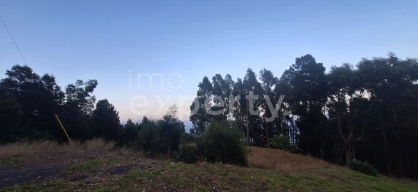 Terreno para Venda em Gaula