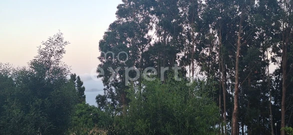 Terreno para Venda em Gaula