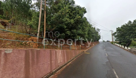 Terreno para Venda em Gaula