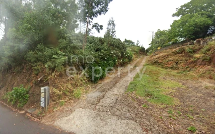 Terreno para Venda em Gaula