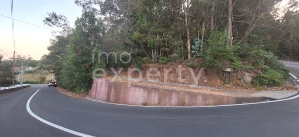 Terreno para Venda em Gaula
