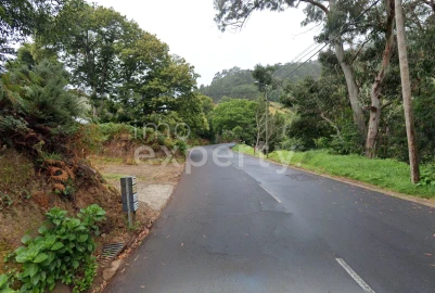 Terreno para Venda em Gaula