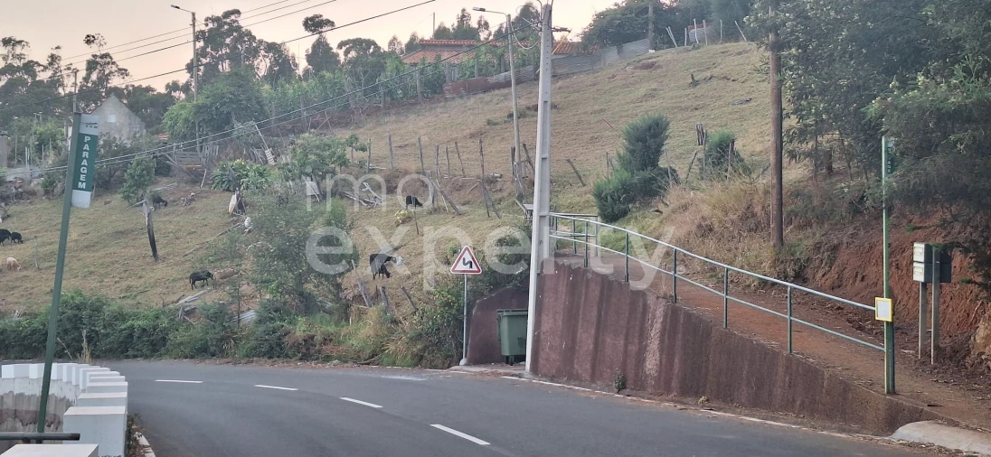 Terreno para Venda em Gaula Foto 15