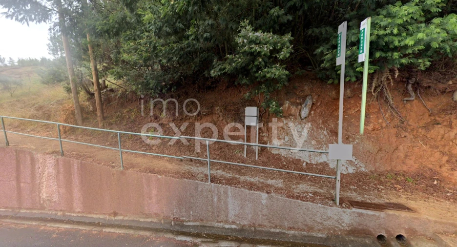 Terreno para Venda em Gaula Foto 3