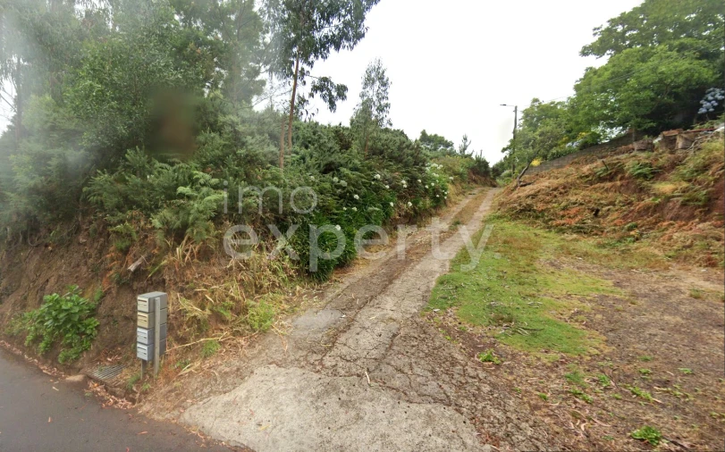 Terreno para Venda em Gaula Foto 2