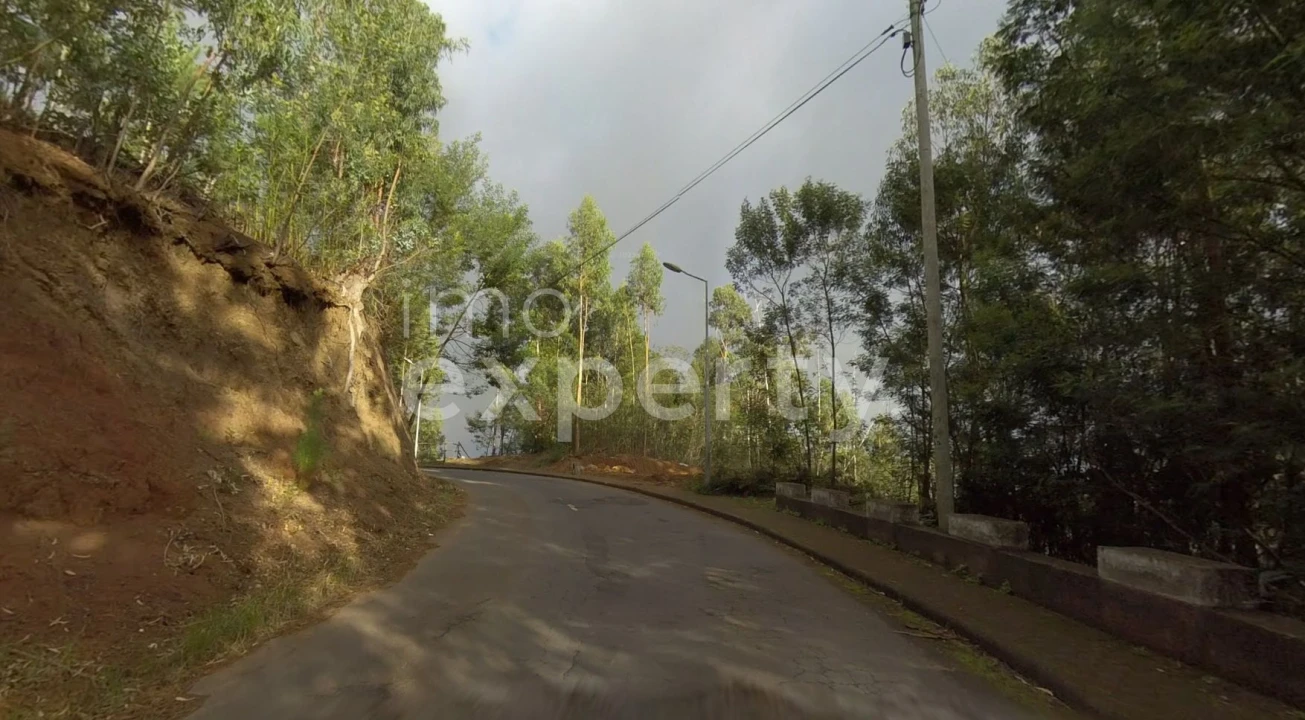 Terreno para Venda em Gaula Foto 4