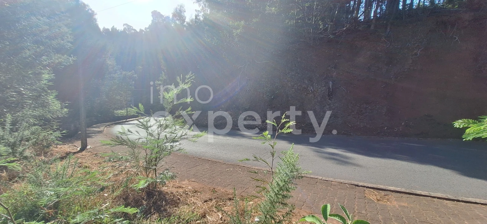 Terreno para Venda em Gaula Foto 10