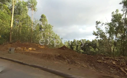 Terreno para Venda em Gaula