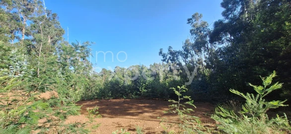 Terreno para Venda em Gaula