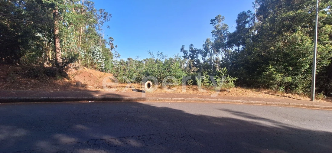 Terreno para Venda em Gaula Foto 14