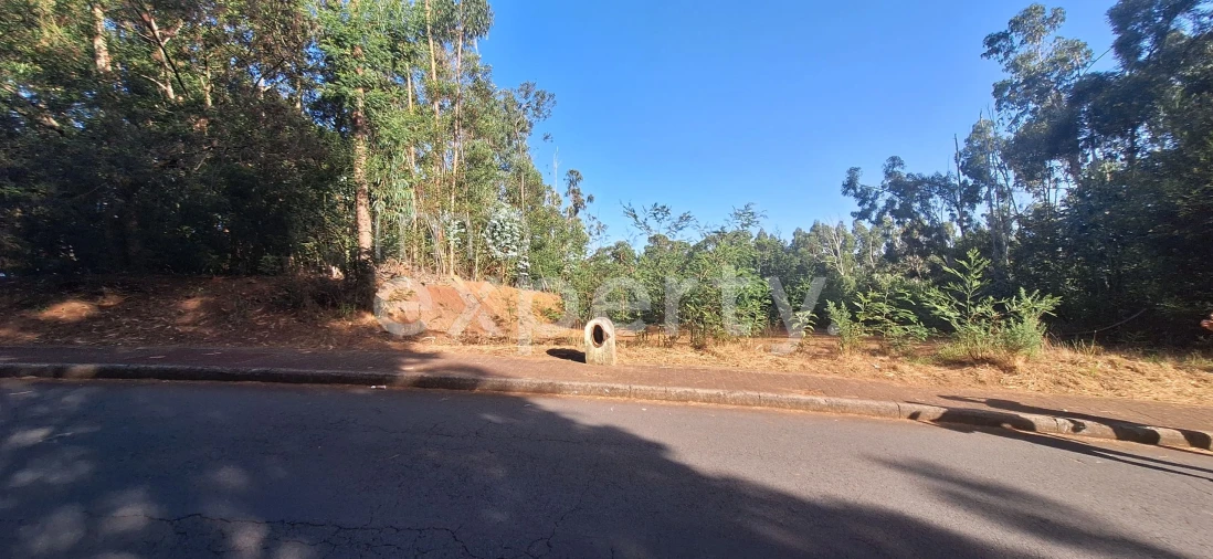 Terreno para Venda em Gaula Foto 12