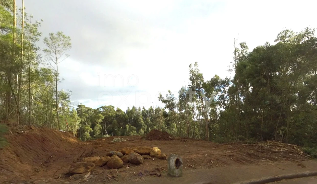 Terreno para Venda em Gaula Foto 2