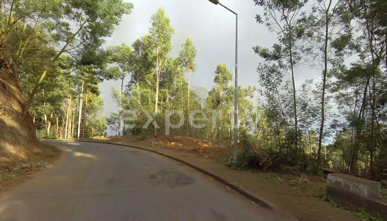 Terreno para Venda em Gaula Foto 1