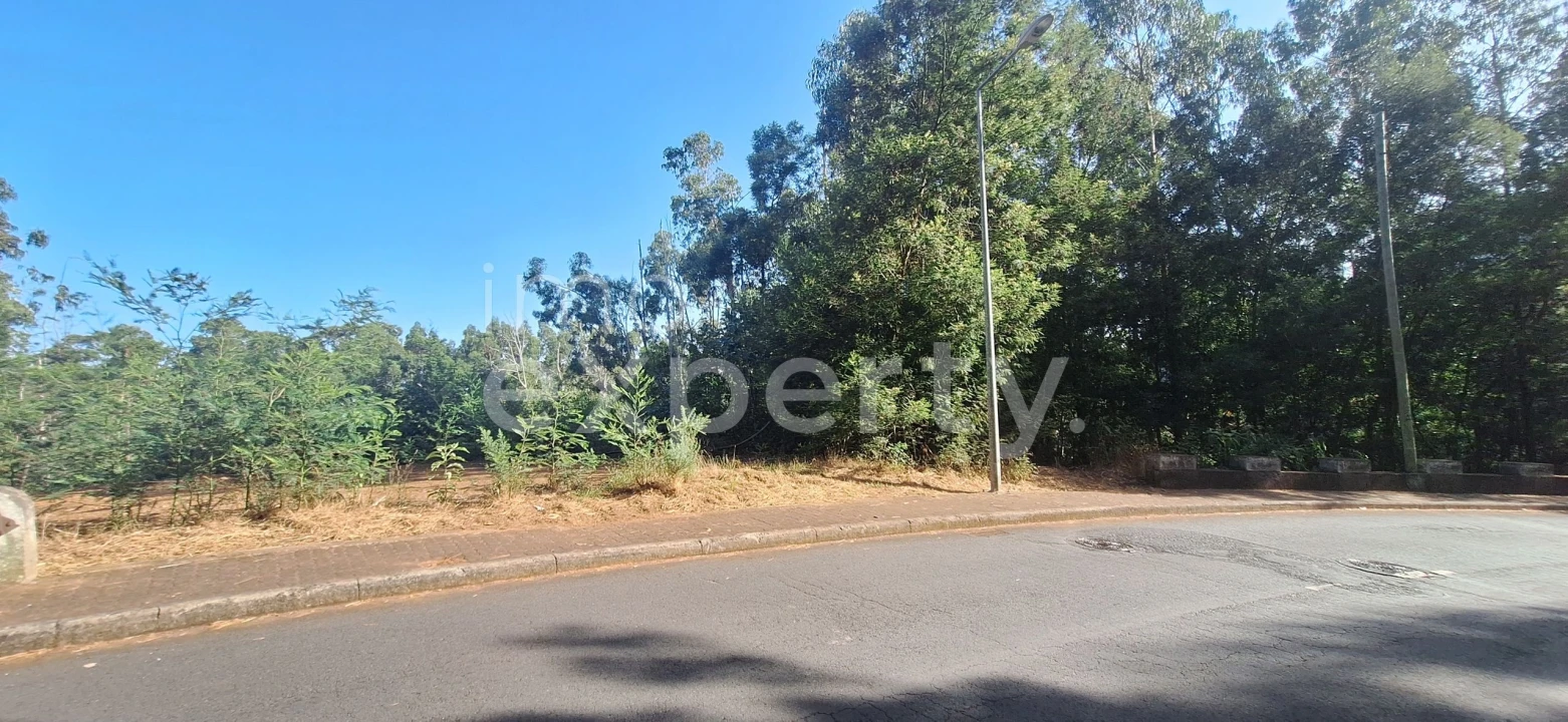 Terreno para Venda em Gaula Foto 13