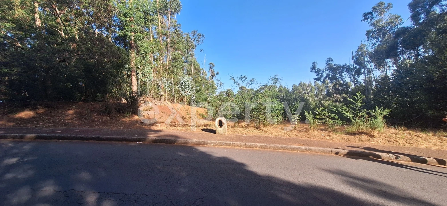 Terreno para Venda em Gaula Foto 12