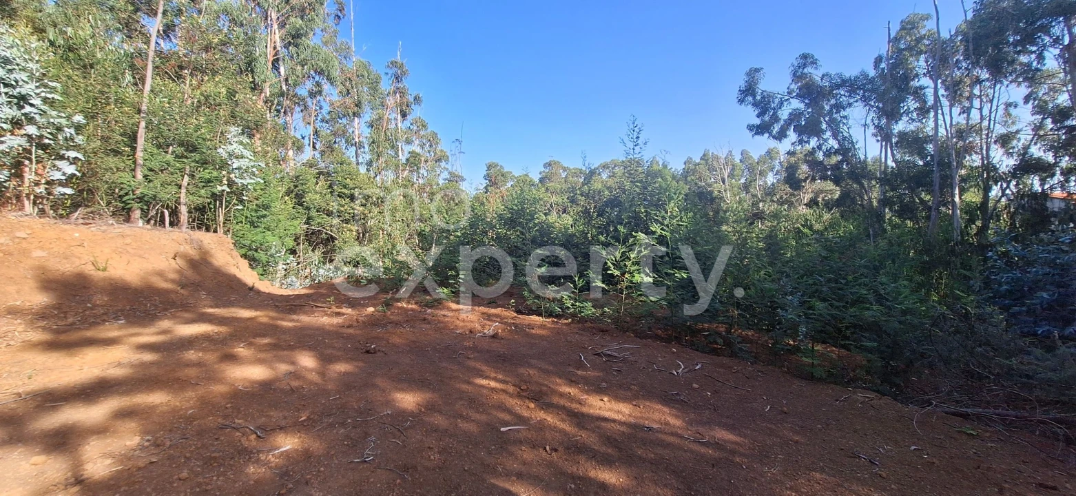 Terreno para Venda em Gaula Foto 9