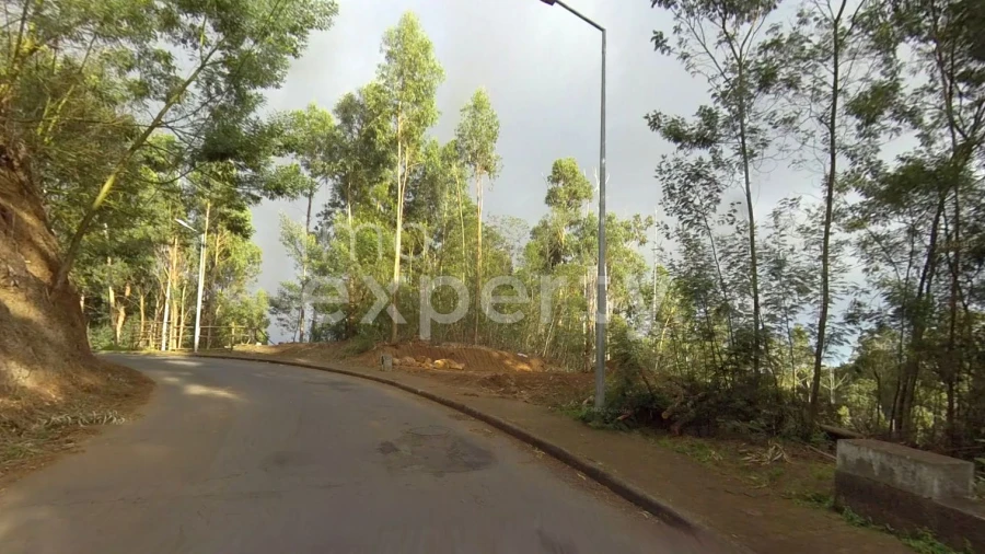 Terreno para Venda em Gaula