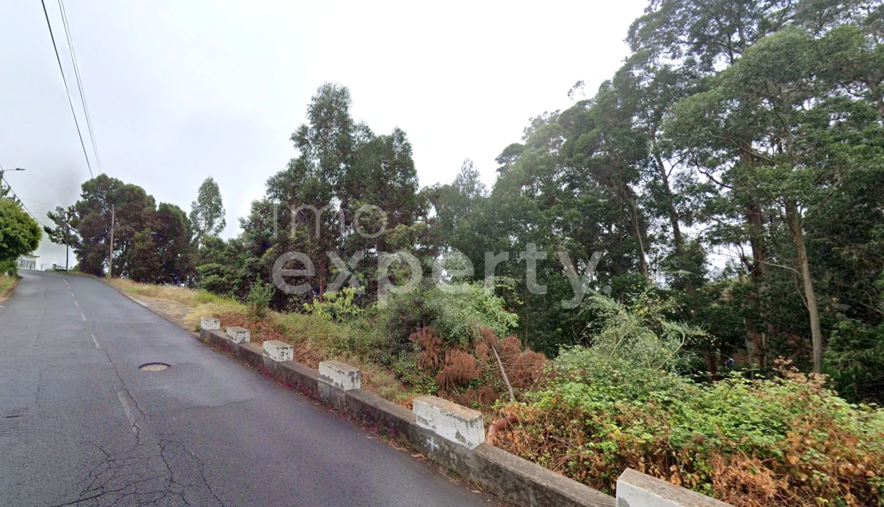 Terreno para Venda em Gaula Foto 4