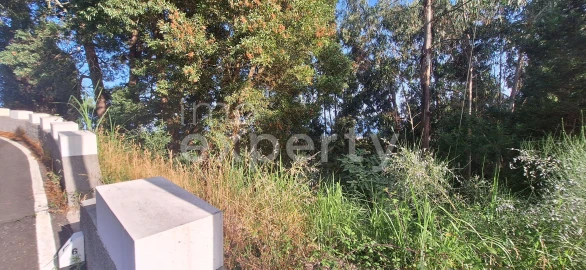 Terreno para Venda em Gaula
