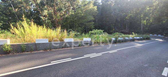 Terreno para Venda em Gaula