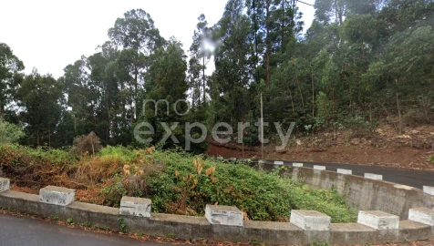 Terreno para Venda em Gaula