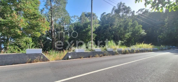 Terreno para Venda em Gaula