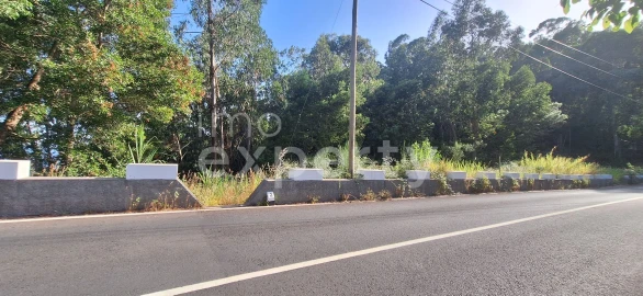 Terreno para Venda em Gaula