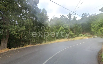 Terreno para Venda em Gaula