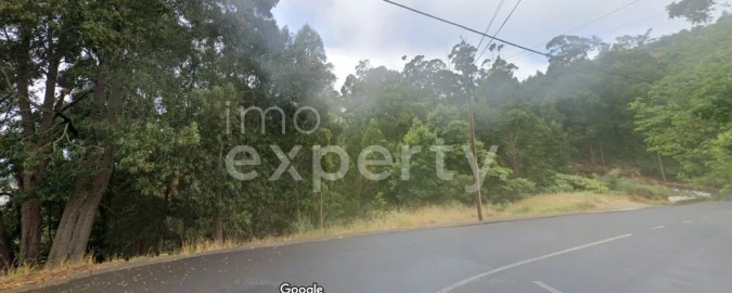 Terreno para Venda em Gaula