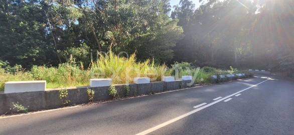 Terreno para Venda em Gaula