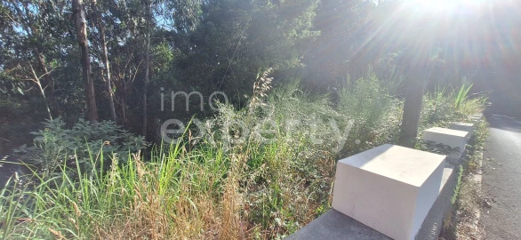 Terreno para Venda em Gaula