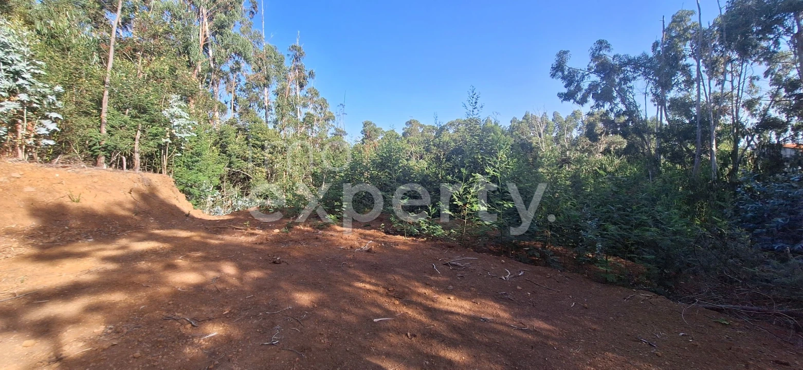 Terreno para Venda em Gaula Foto 13