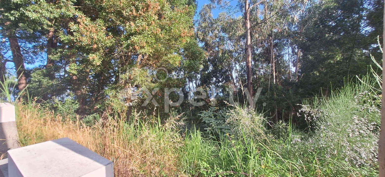 Terreno para Venda em Gaula Foto 20