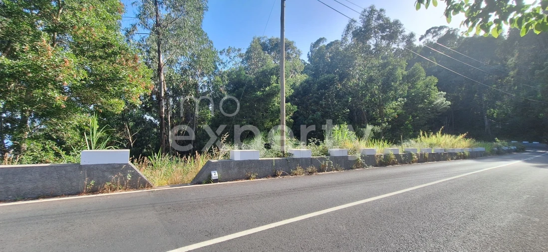 Terreno para Venda em Gaula Foto 17