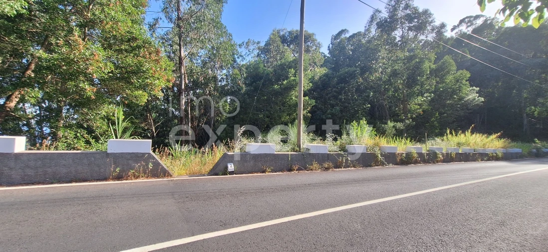 Terreno para Venda em Gaula Foto 16