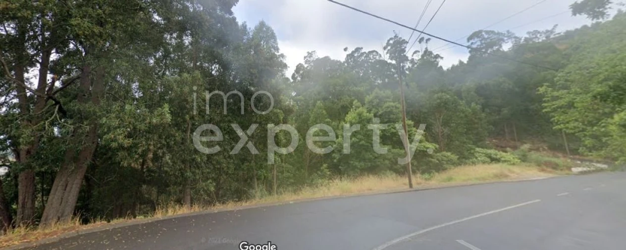 Terreno para Venda em Gaula Foto 7