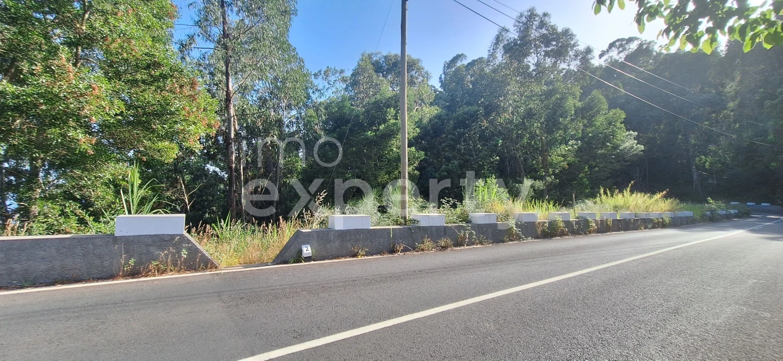 Terreno para Venda em Gaula Foto 17