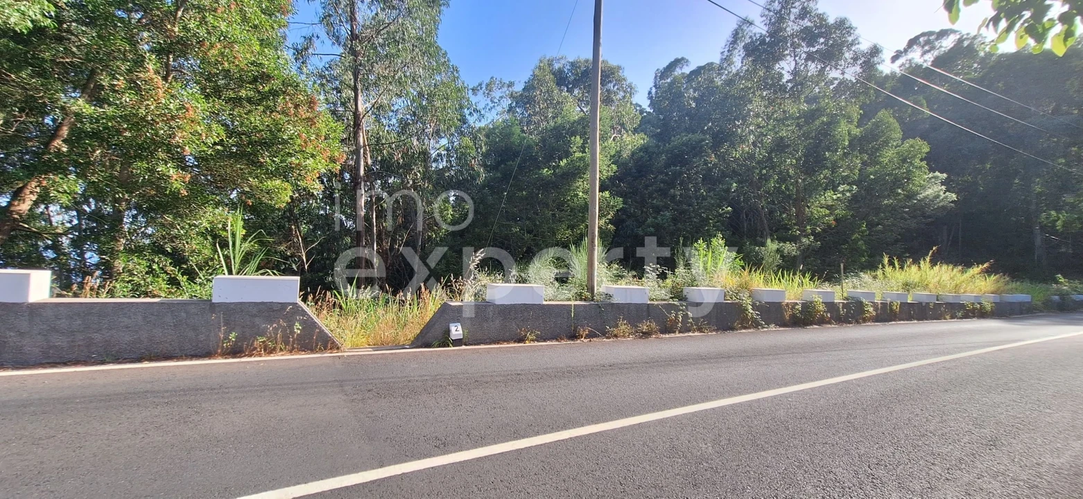 Terreno para Venda em Gaula Foto 16
